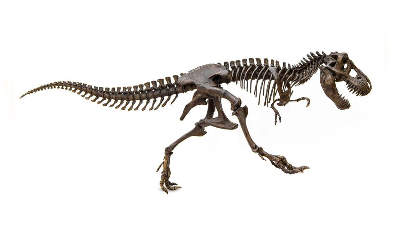 Canada mortgage bonds (CMBs) could go extinct