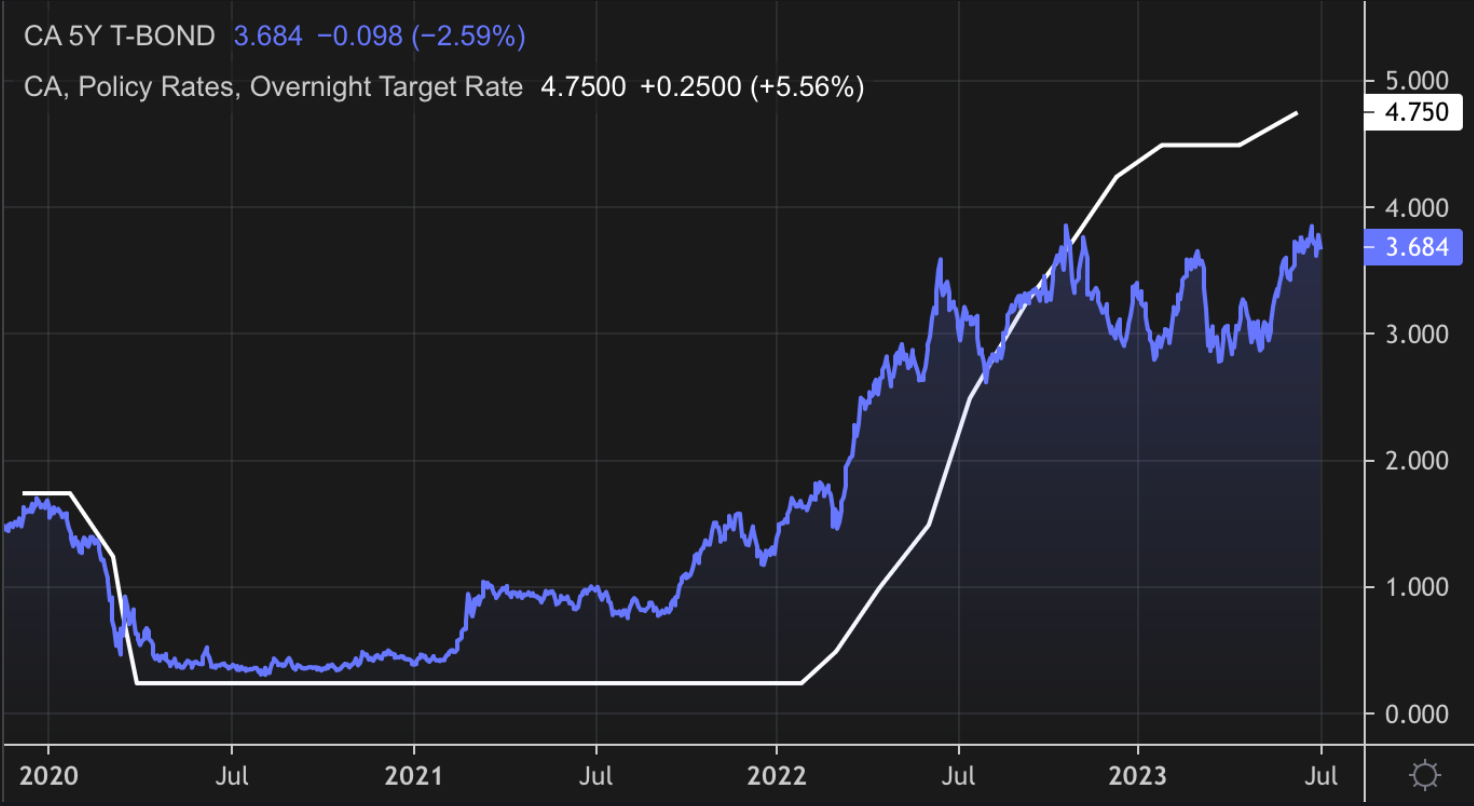 Rates at a crossroads + This & that