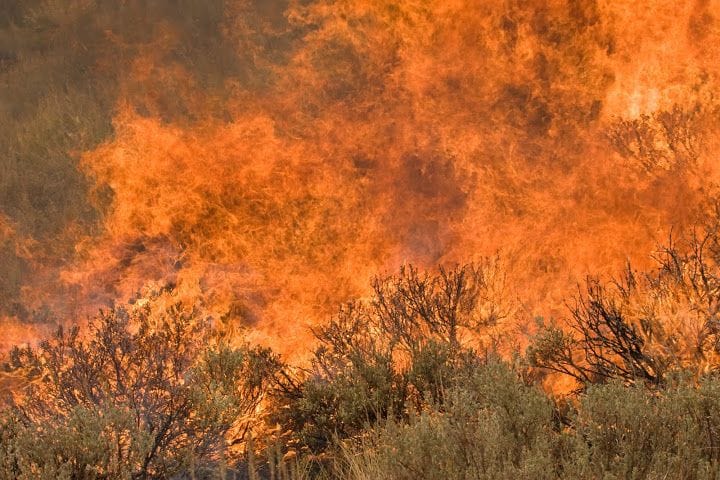 Natural Disaster Solutions Reaffirmed By All Three Default Insurers